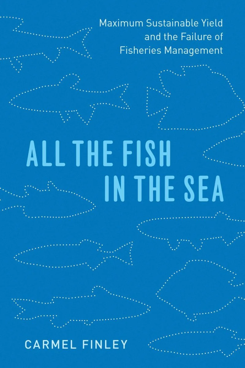 جلد همه‌ی ماهی‌های دریا ۲۰۲۴  All the Fish in the Sea 2024
