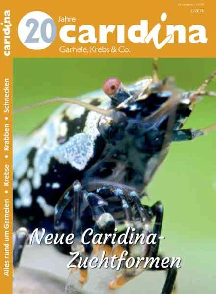 جلد Caridina – Ausgabe 2 2026