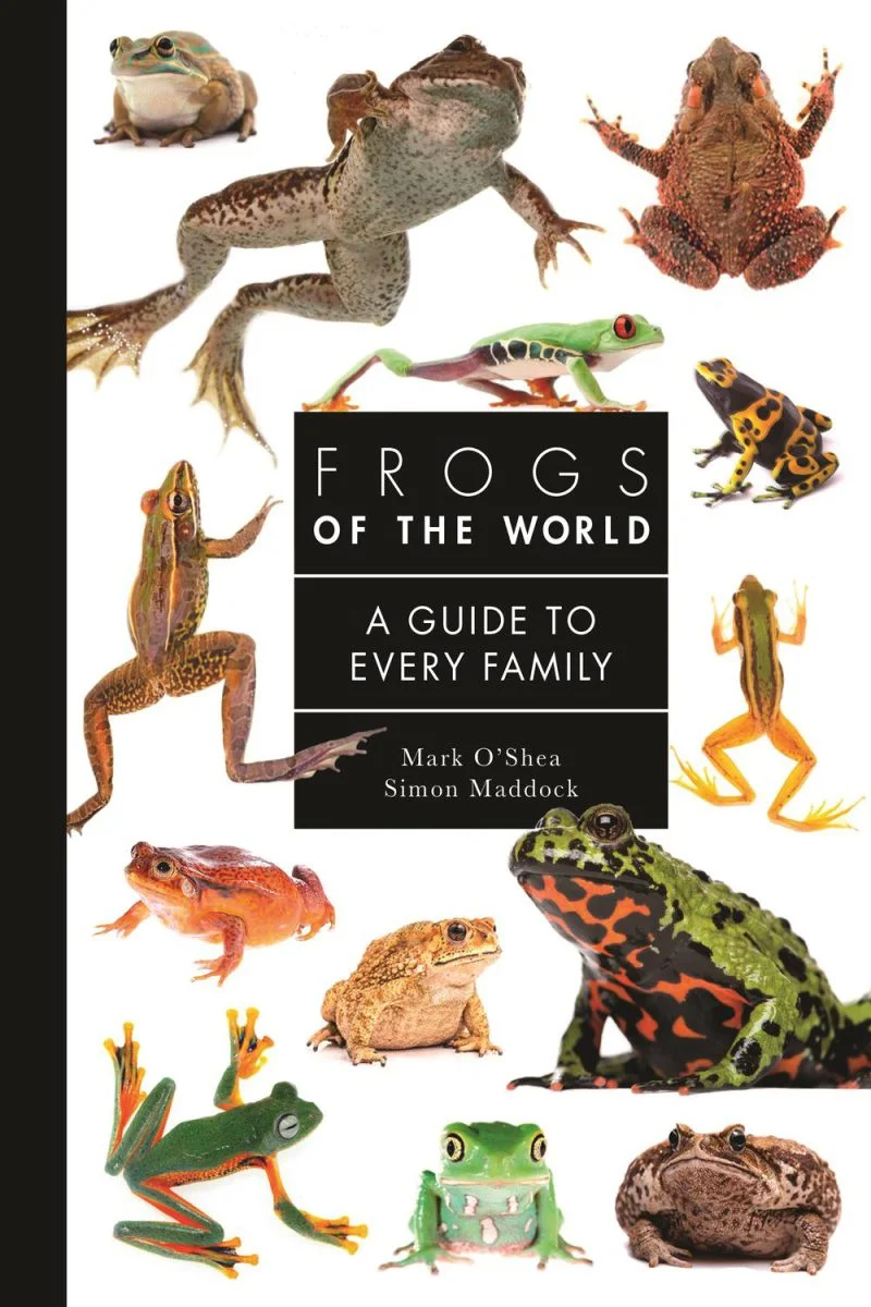 جلد قورباغه‌های جهان ۲۰۲۴  Frogs of the World 2024