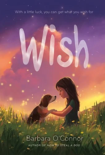 جلد Wish