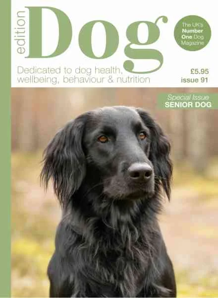 جلد Edition Dog – Issue 91 2026