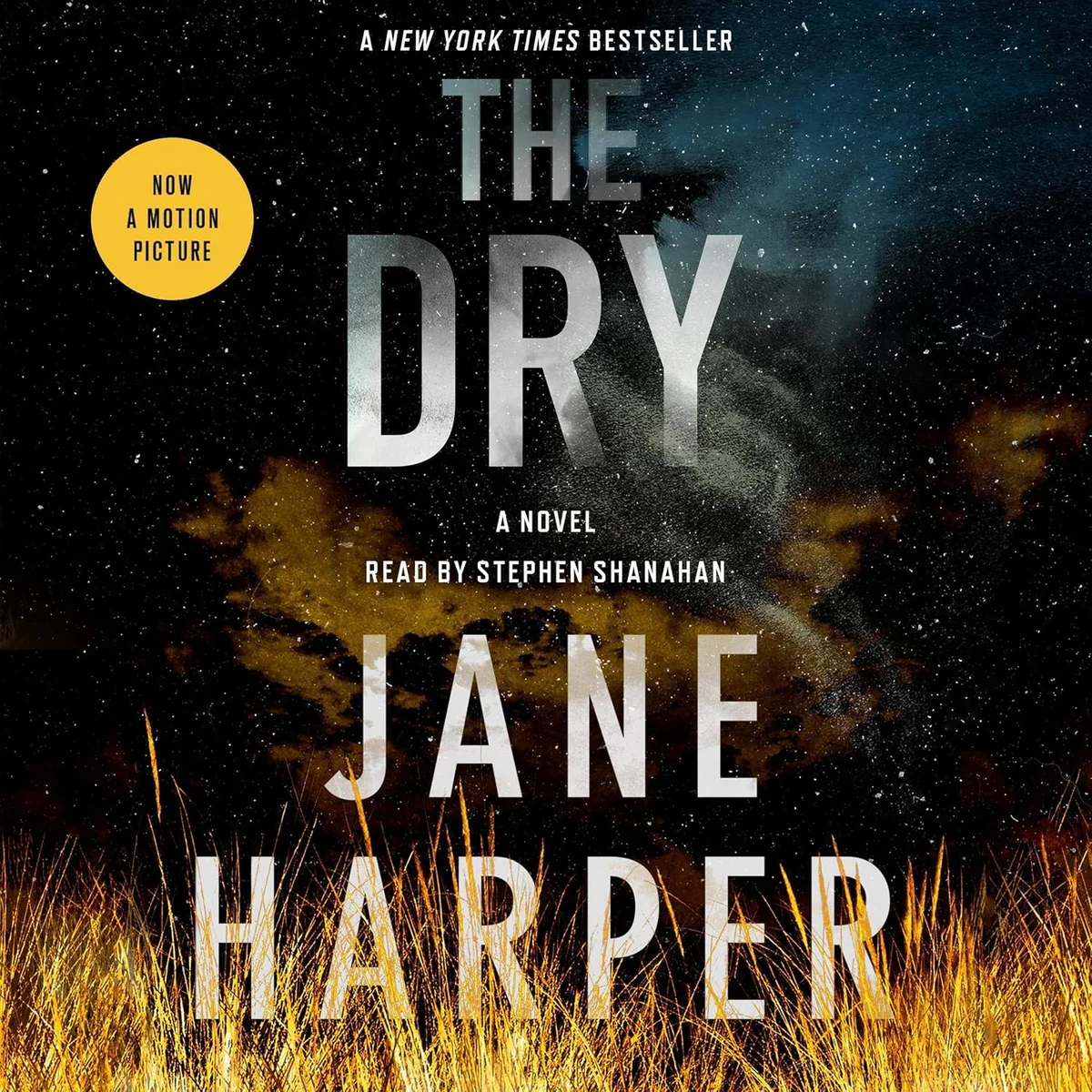 جلد The Dry: A Novel