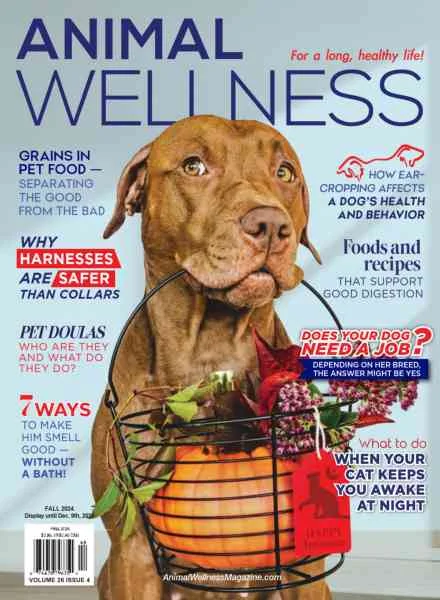 جلد Animal Wellness – Fall 2024
