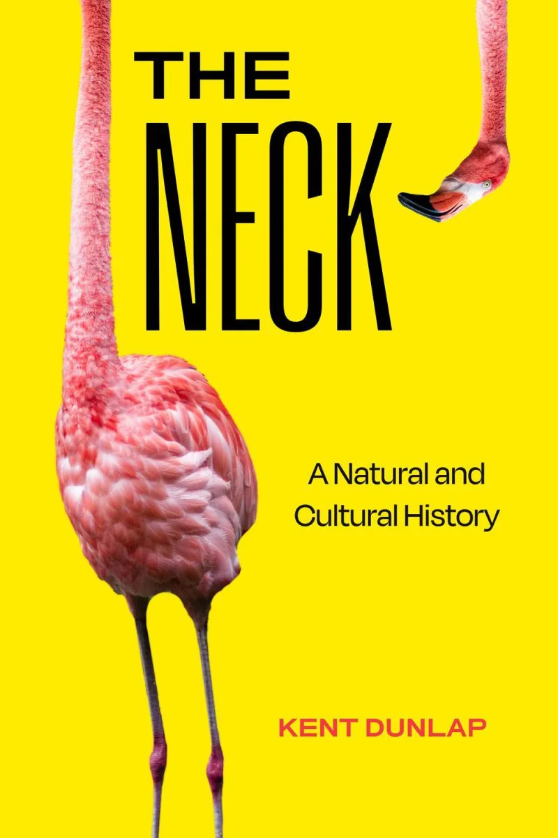 جلد گردن ۲۰۲۵  The Neck 2025