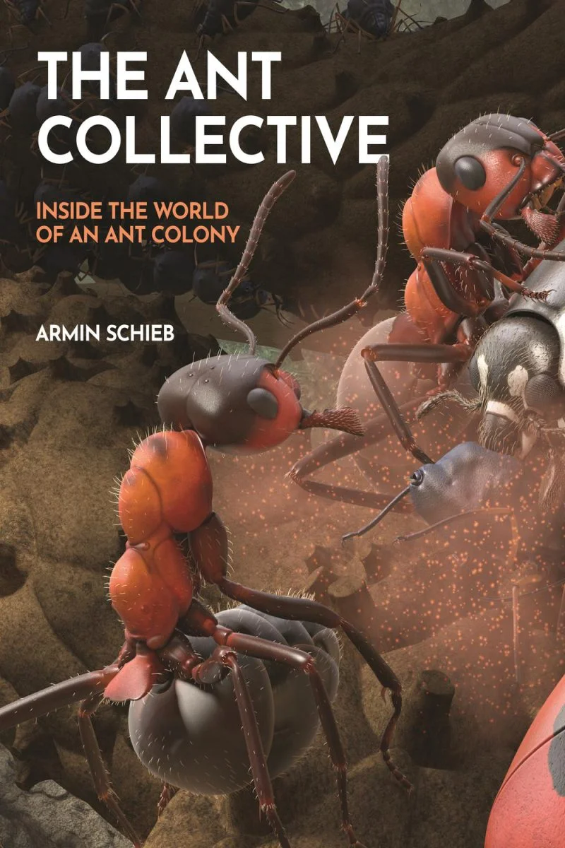 جلد اجتماع مورچگان ۲۰۲۴  The Ant Collective 2024