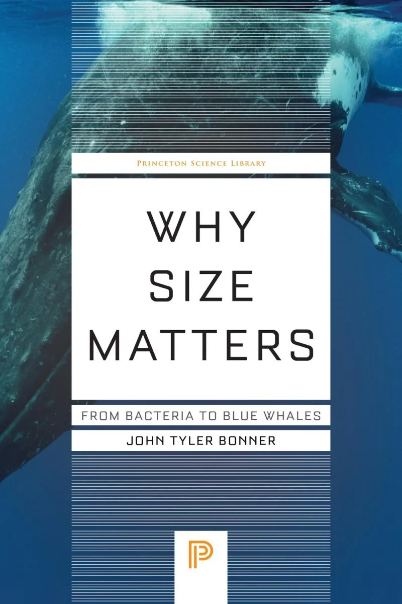 جلد چرا اندازه مهم است ۲۰۲۴  Why Size Matters 2024