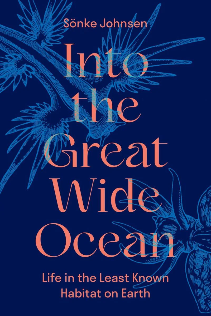جلد به دل اقیانوس پهناور ۲۰۲۴  Into the Great Wide Ocean 2024