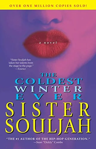 جلد The Coldest Winter Ever: A Novel