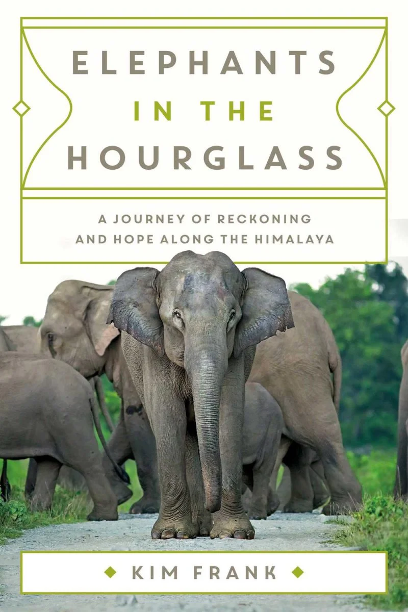 جلد فیل‌ها در ساعت شنی ۲۰۲۵  Elephants in the Hourglass 2025