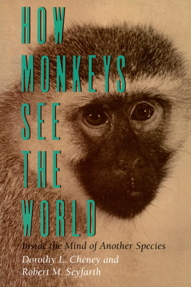 جلد میمونها دنیا را چگونه میبینند ۲۰۲۴  How Monkeys See the World 2024