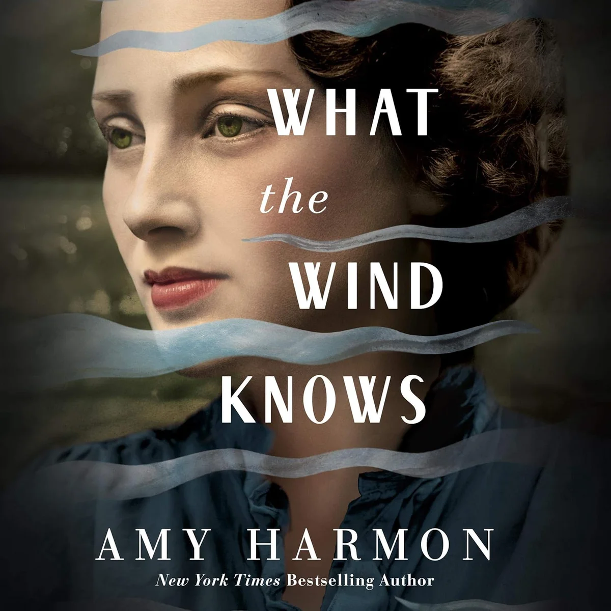 جلد What the Wind Knows