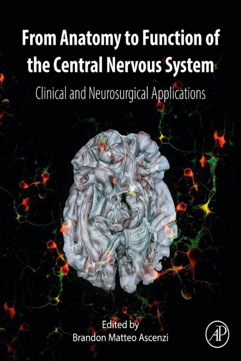 جلد از کالبدشناسی تا عملکرد دستگاه عصبی مرکزی ۲۰۲۴  From Anatomy to Function of the Central Nervous System 2024